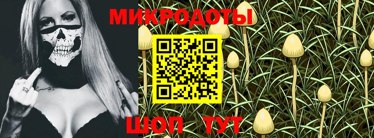 Галлюциногенные грибы мицелий Октябрьский
